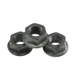 Rebar anchor plate with flange hex nut