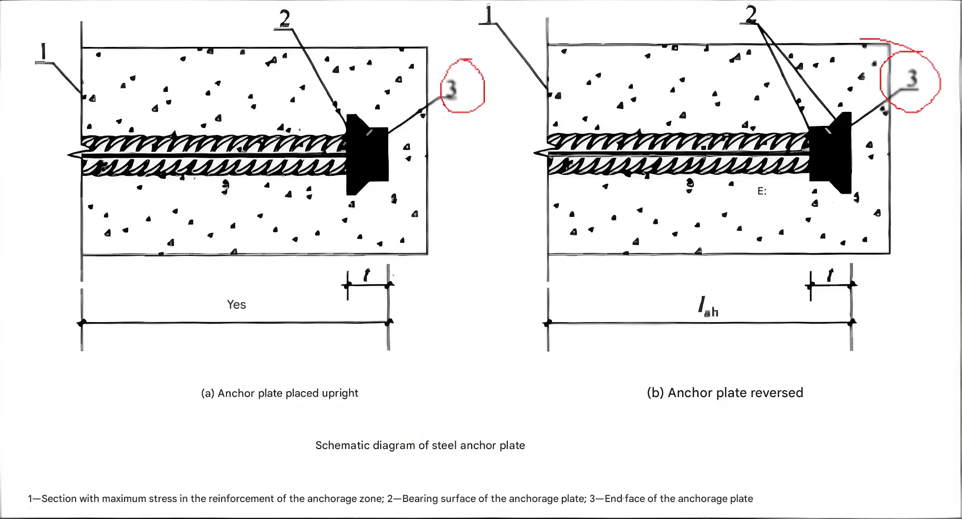Rebar anchor plate with flange hex nut