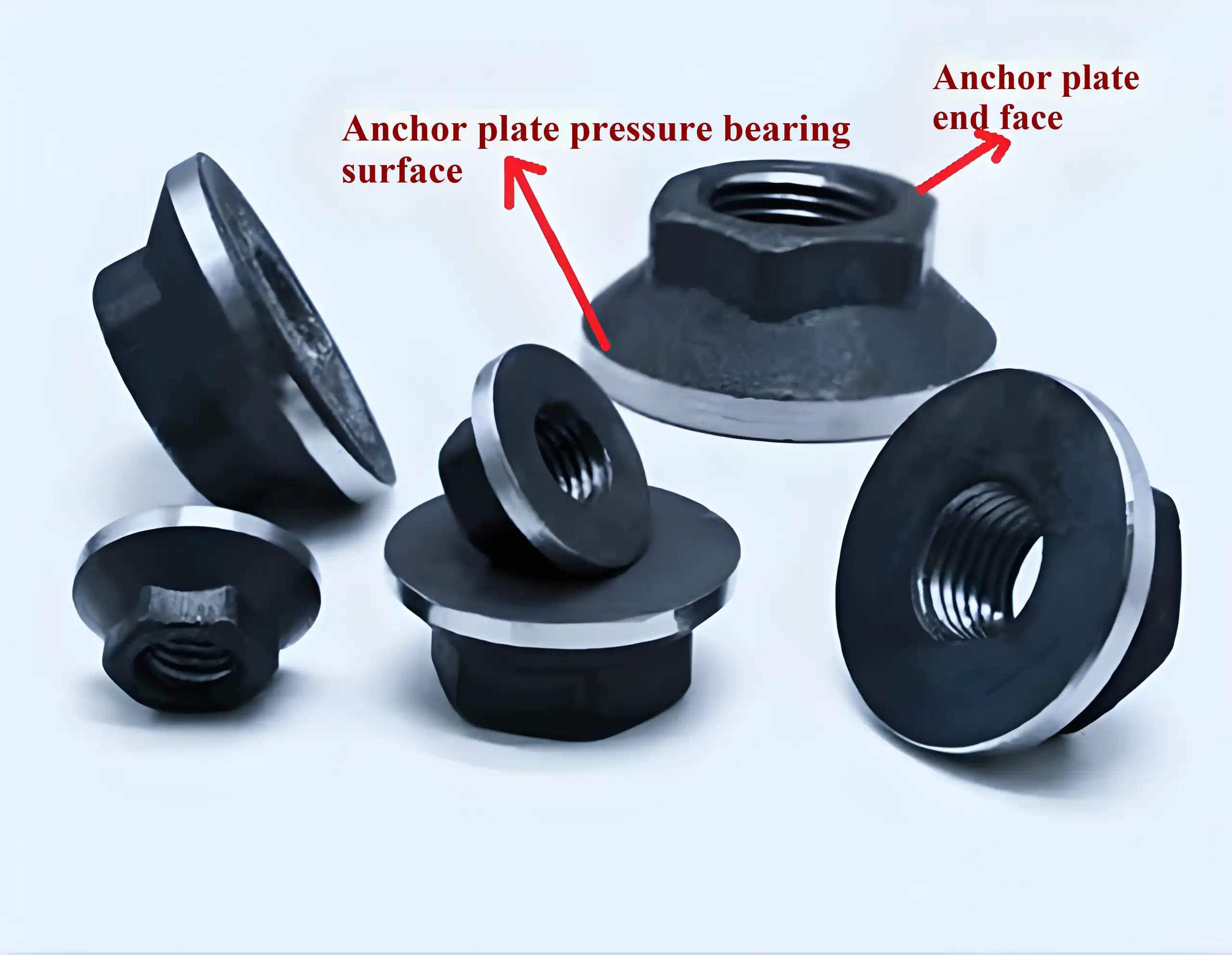 Rebar anchor with flange hex nut